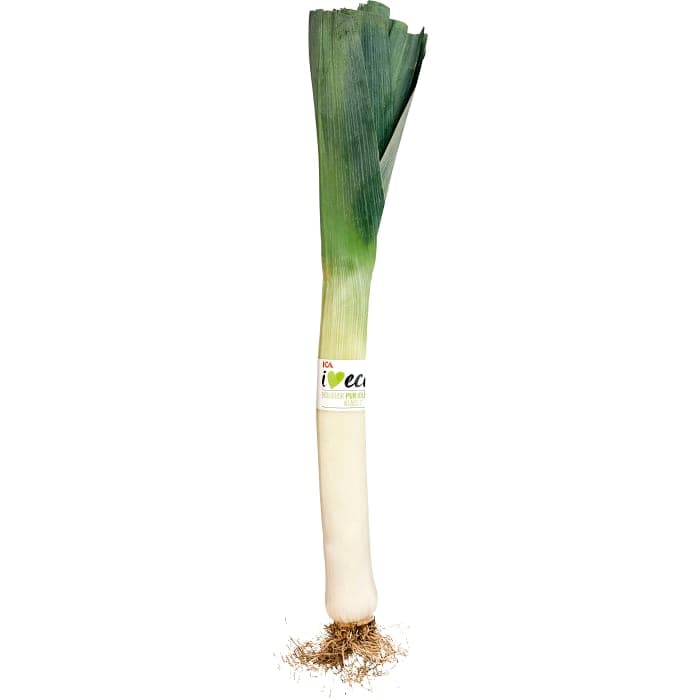 Purjolök
