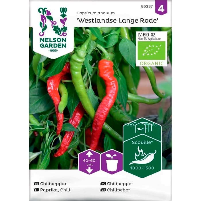 Chilipeppar Wasetlandse Lange Rode