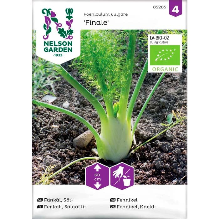 Fänkål Söt Finale