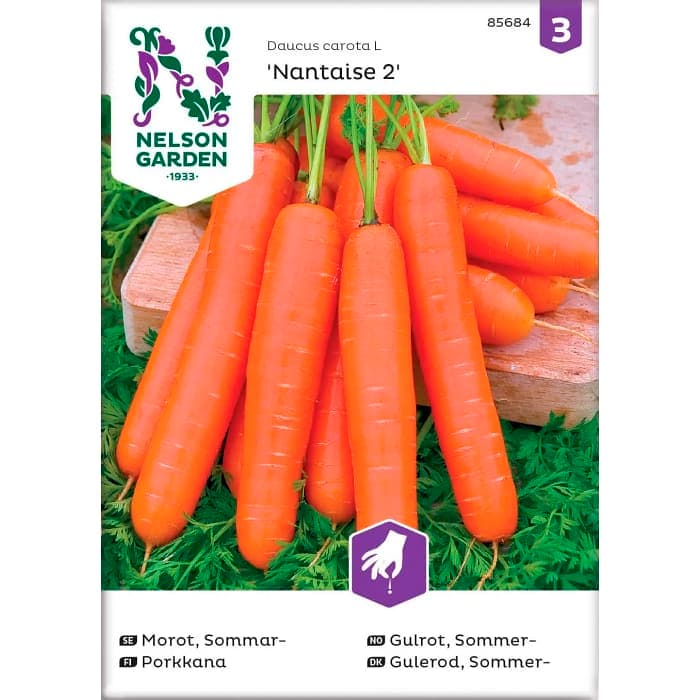 Morot Sommar Nantaise 2