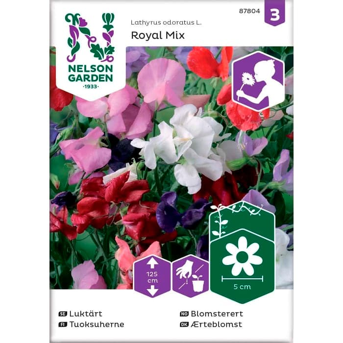Luktärt Royal Blandade färger