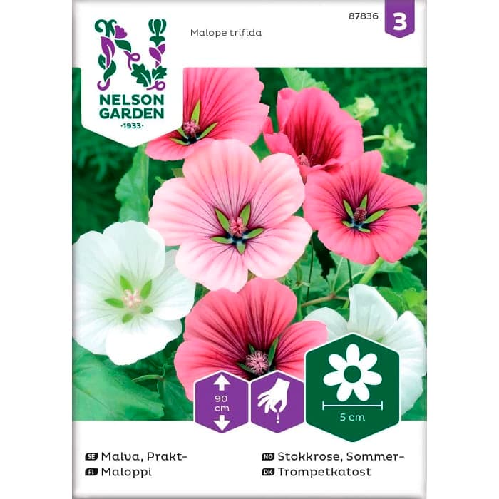 Malva Prakt Blandade färger1-p