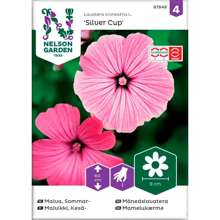 Malva Sommar Silver Cup Rosa