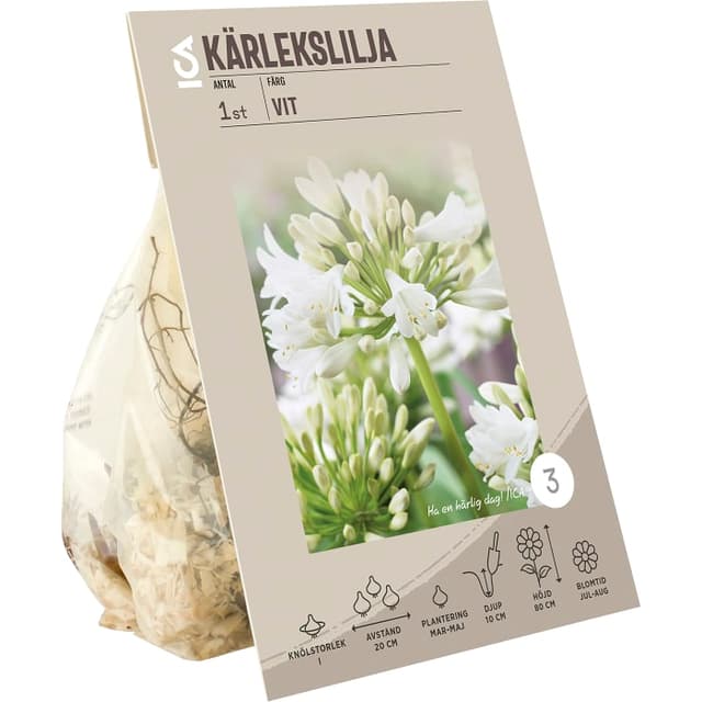 Perennial vit