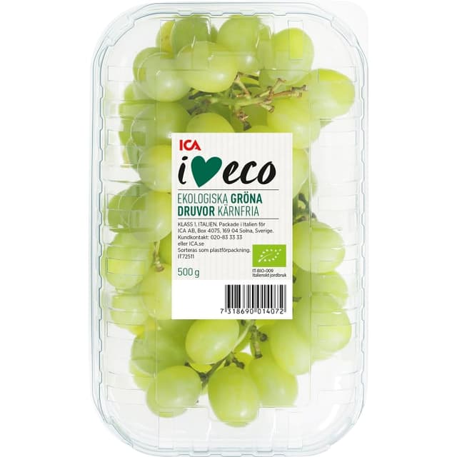 Druva Thompson gröna kärnfria seedless