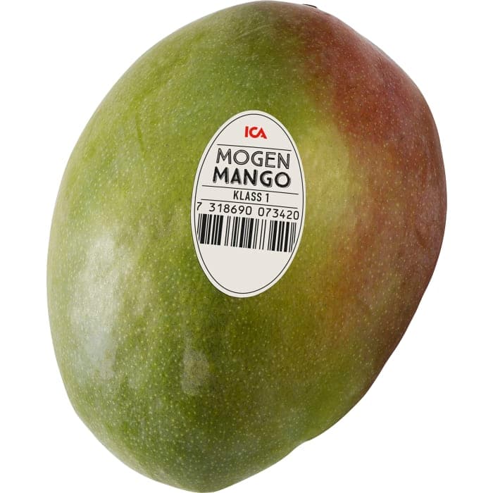 Mango Klass 1