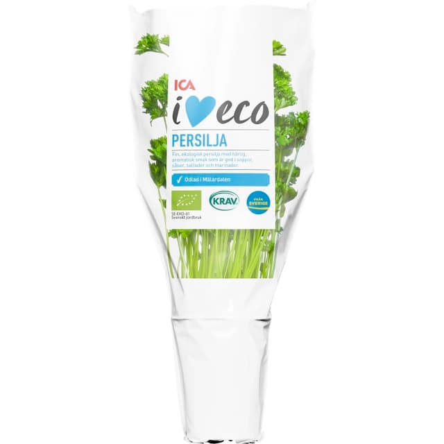 Persilja i kruka Ekologisk