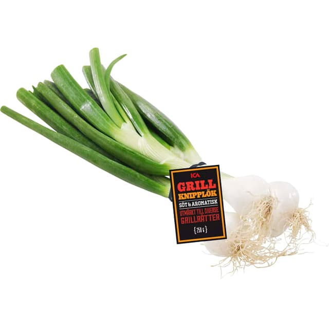 Grillknippelök Klass 1