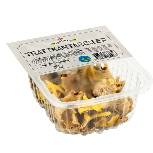 Trattkantareller Klass 1
