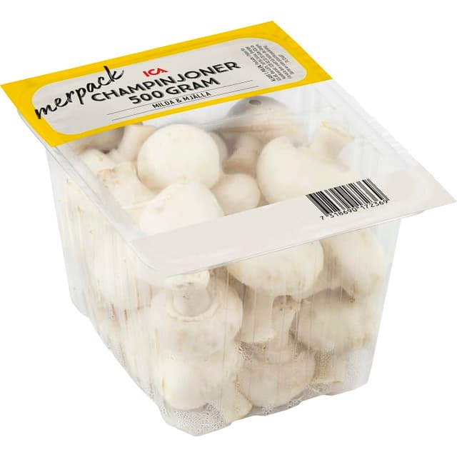 Champinjoner Klass 1