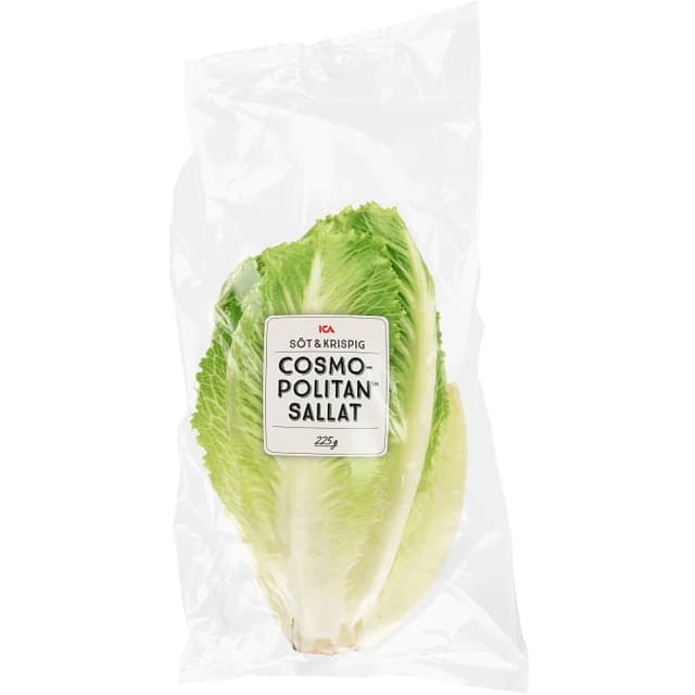Sallat Cosmopolitan Klass 1
