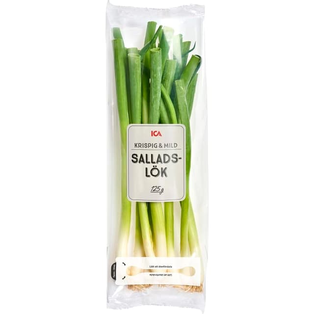 Salladslök