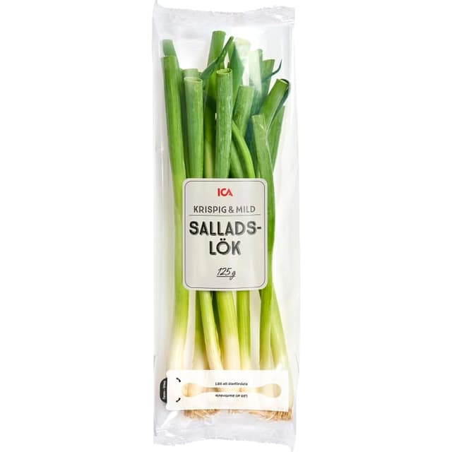 Salladslök