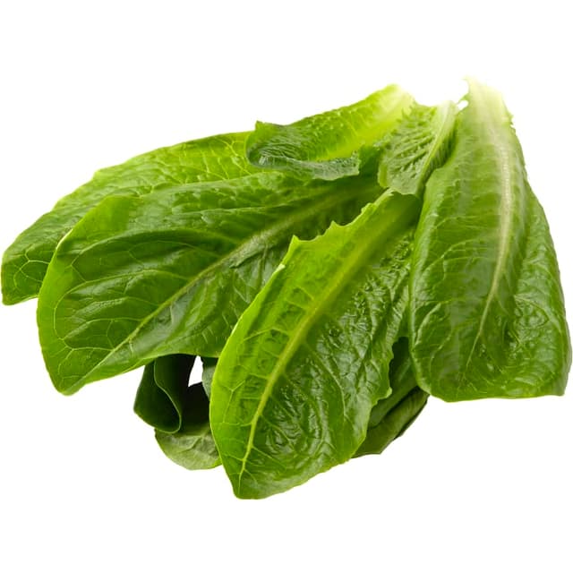 Romansallat