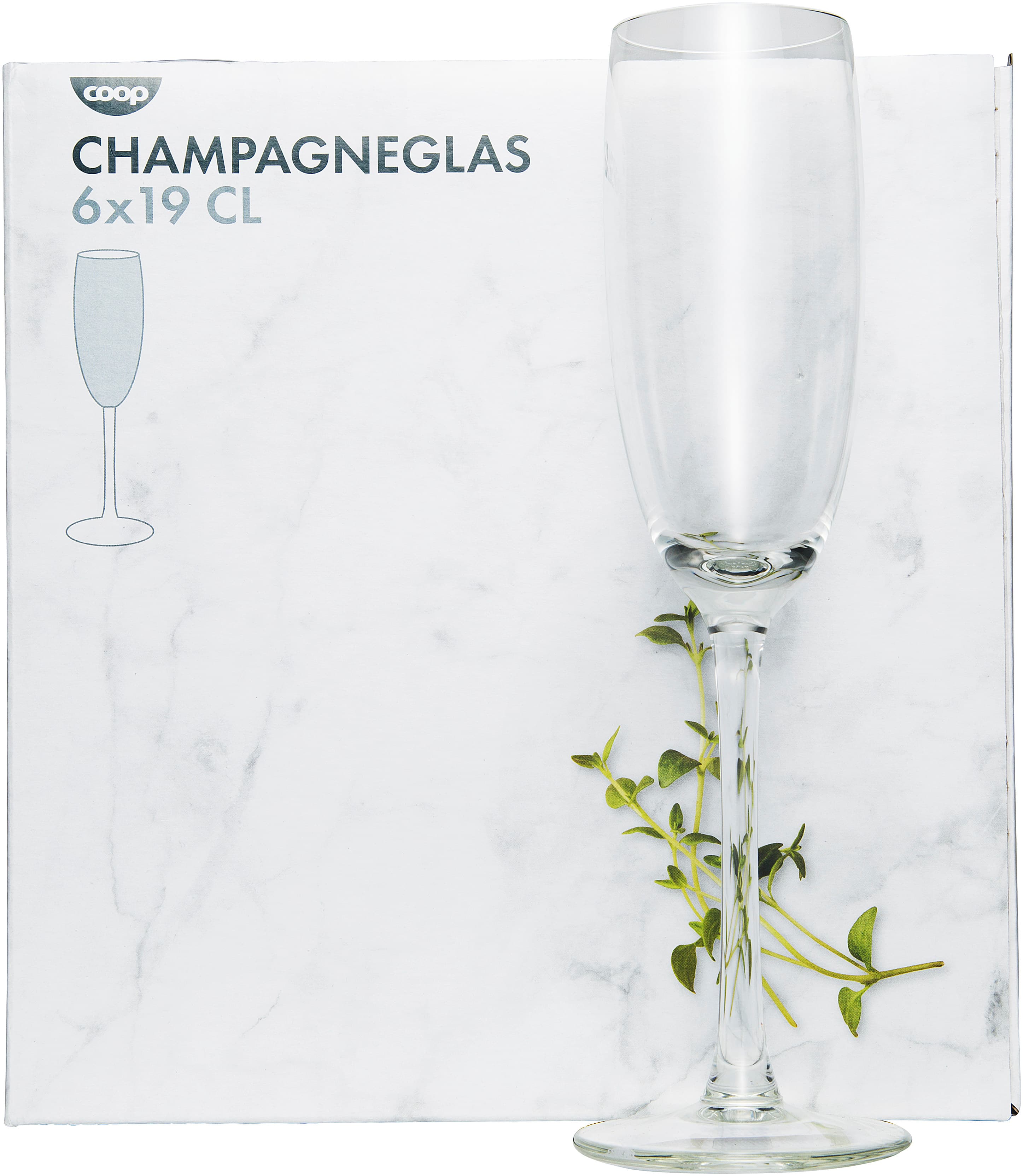Champagneglas 6-pack