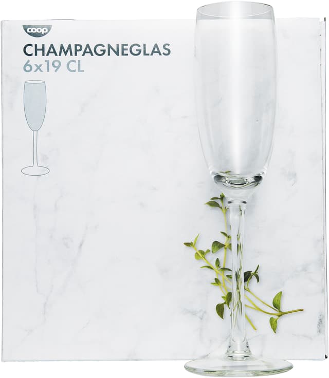 Champagneglas 6-pack