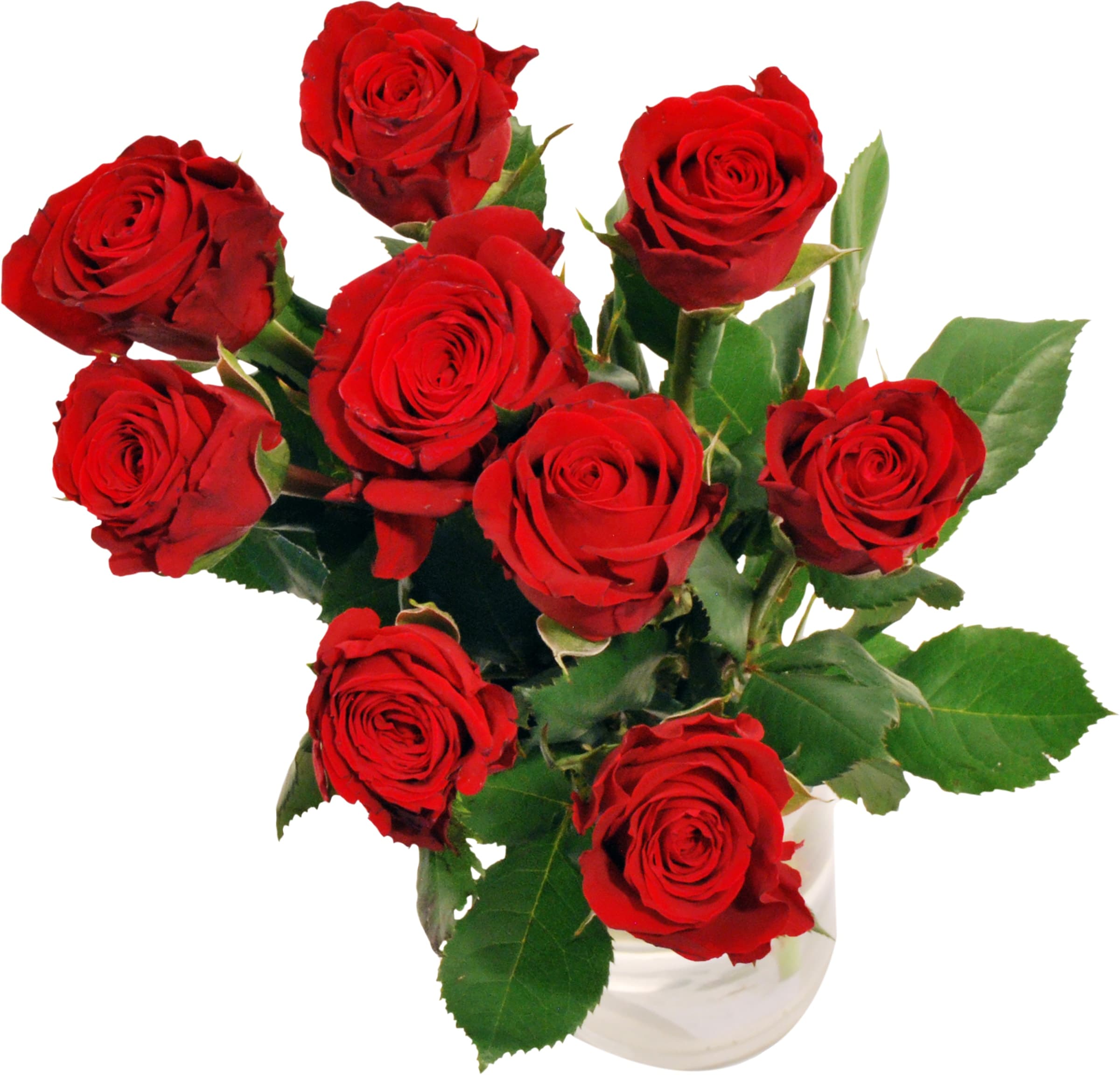 Rosor 9-pack