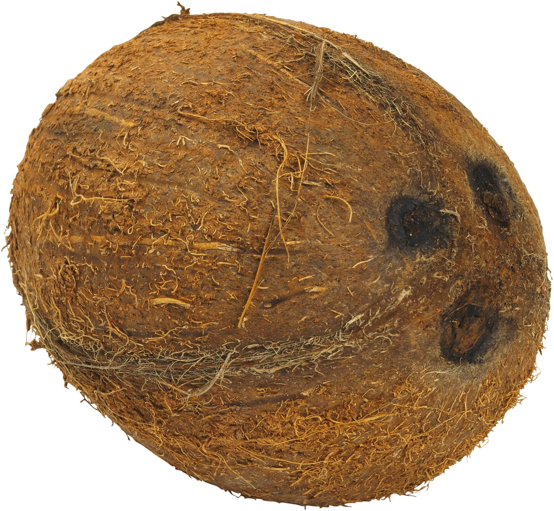 Kokosnöt