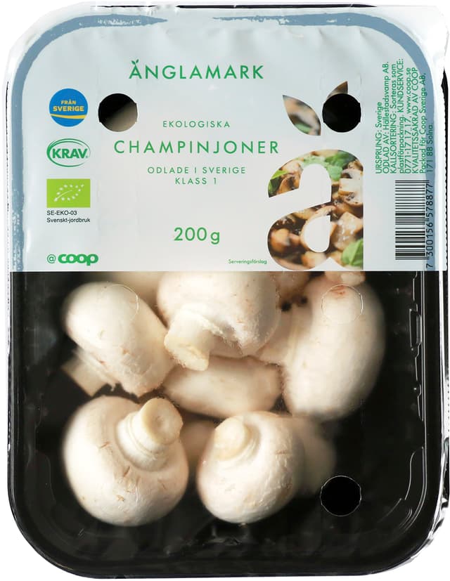Champinjoner Eko