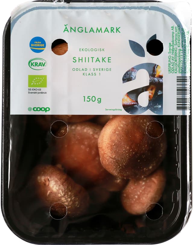Shiitake Eko