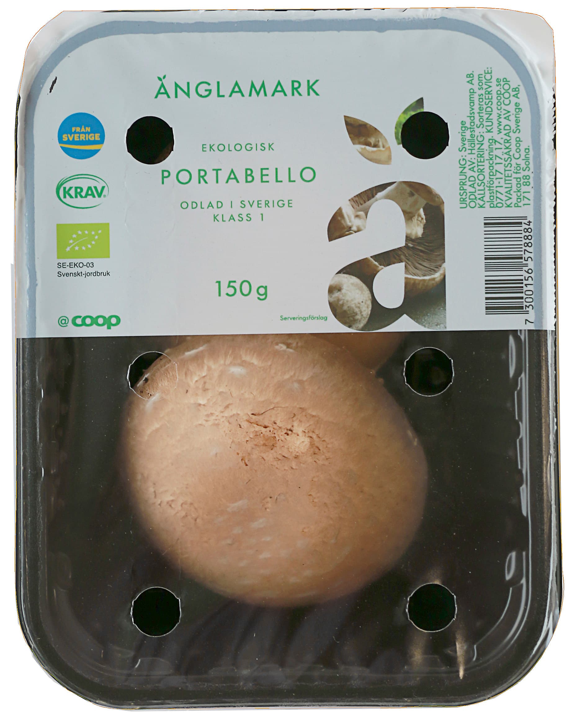 Portabello Eko