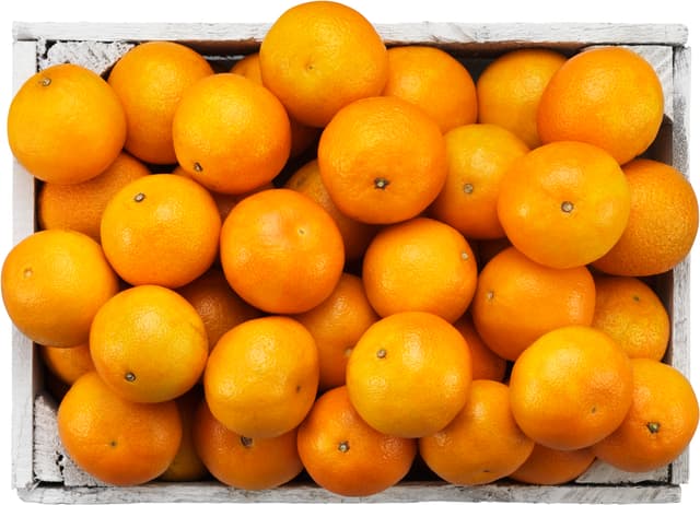 Hel Låda Småcitrus