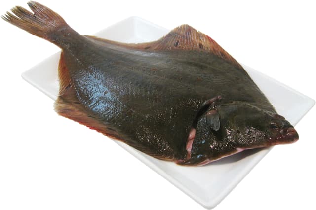 Rödspätta Hel
