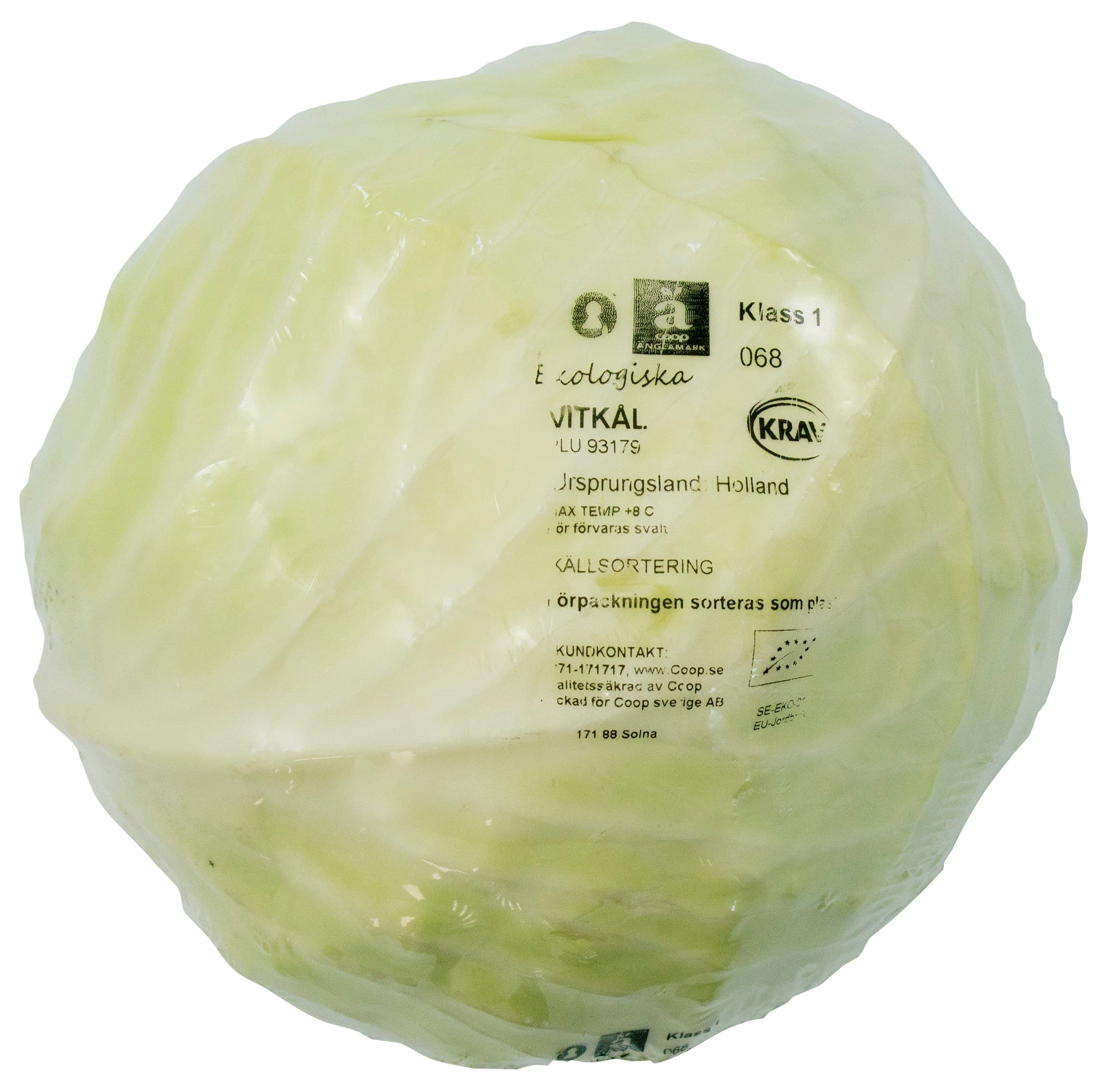 Vitkål