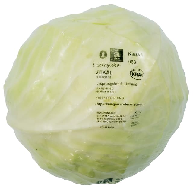 Vitkål