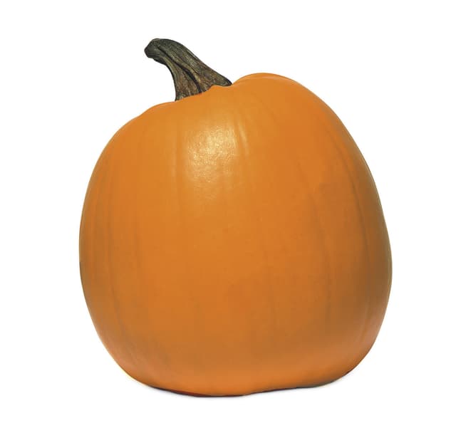 Pumpa halloween