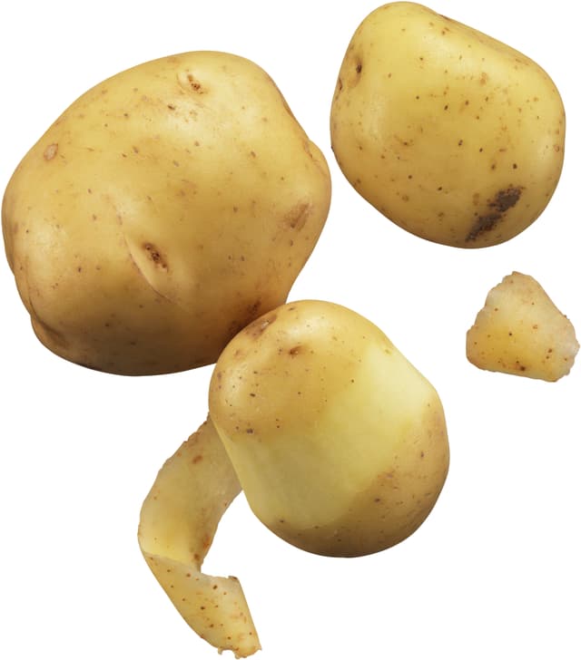 Potatis Fast 5 kg