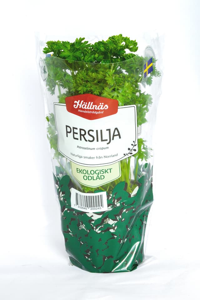 Persilja Krusbladig Kruka KRAV Hällnäs Handelsträdgård