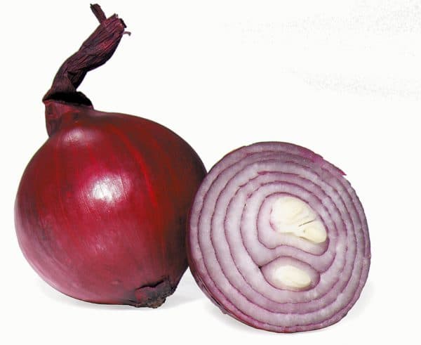 Rödlök