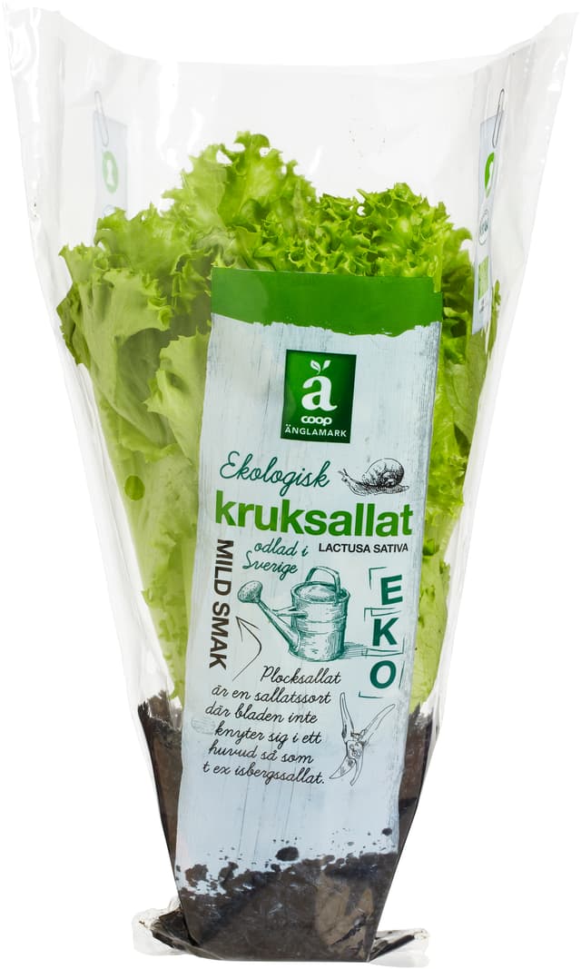 Kruksallat Eko