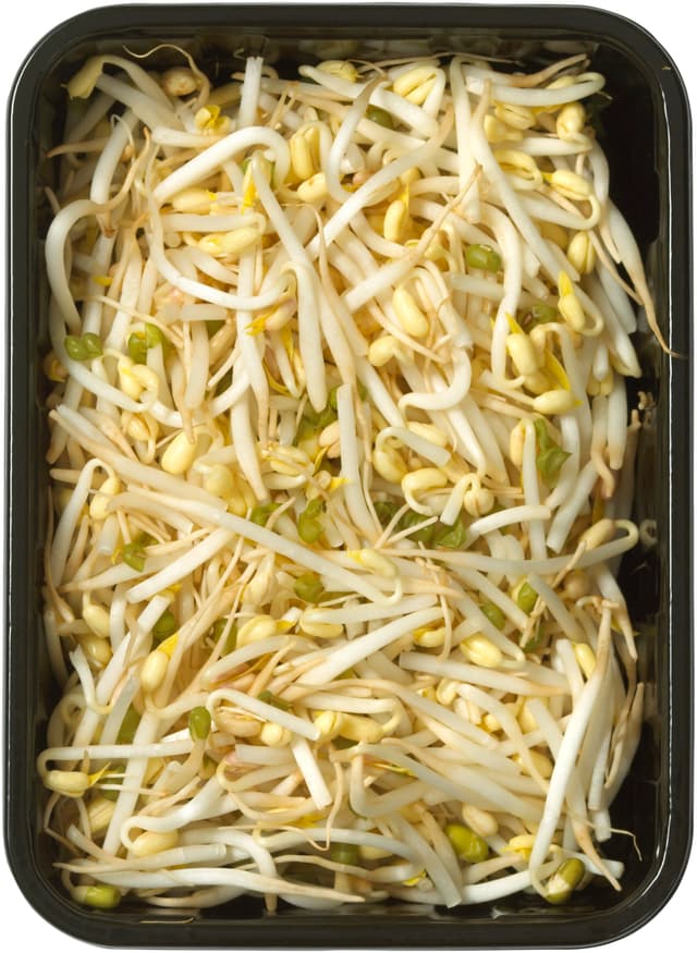 Böngroddar