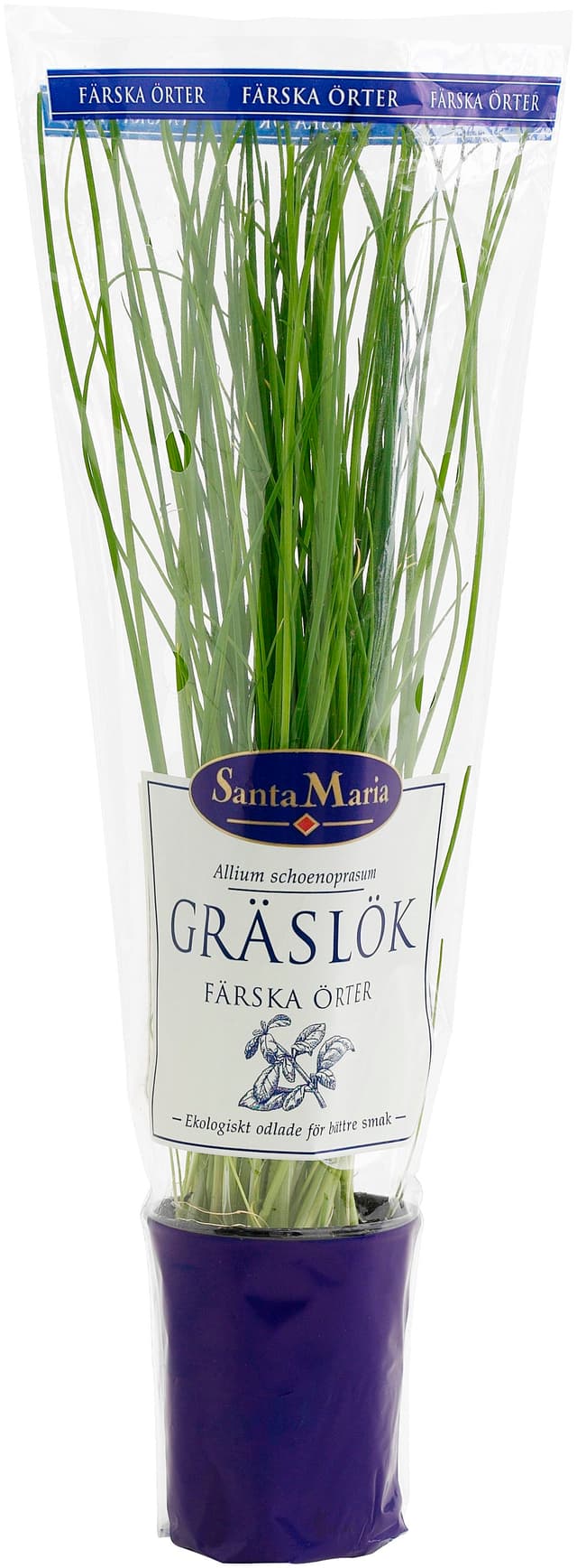 Gräslök Kruka Eko