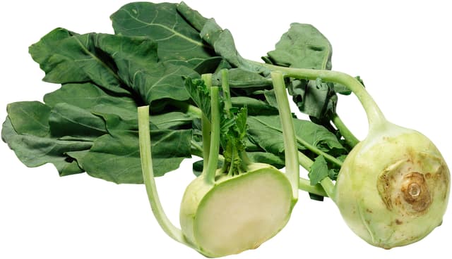 Kålrabbi