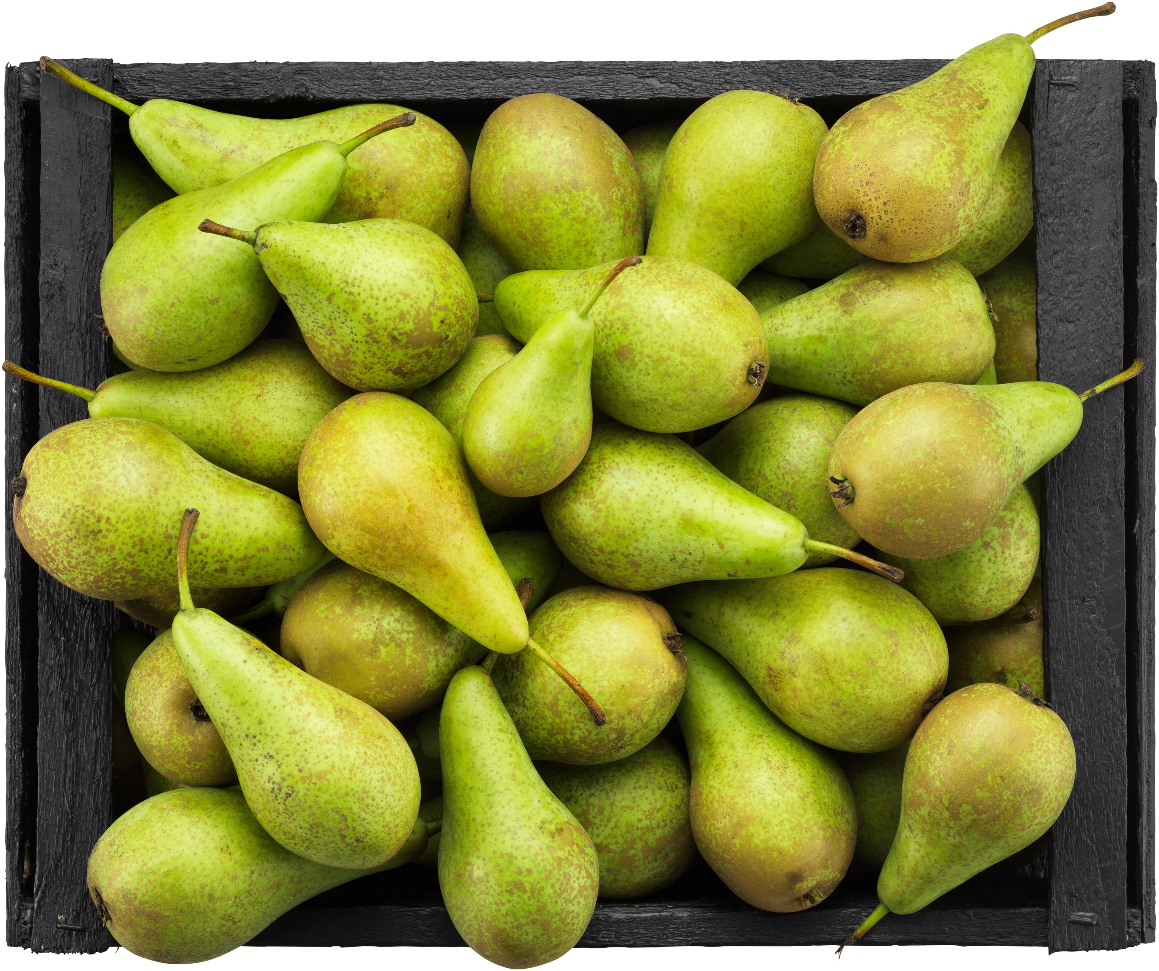 Päron