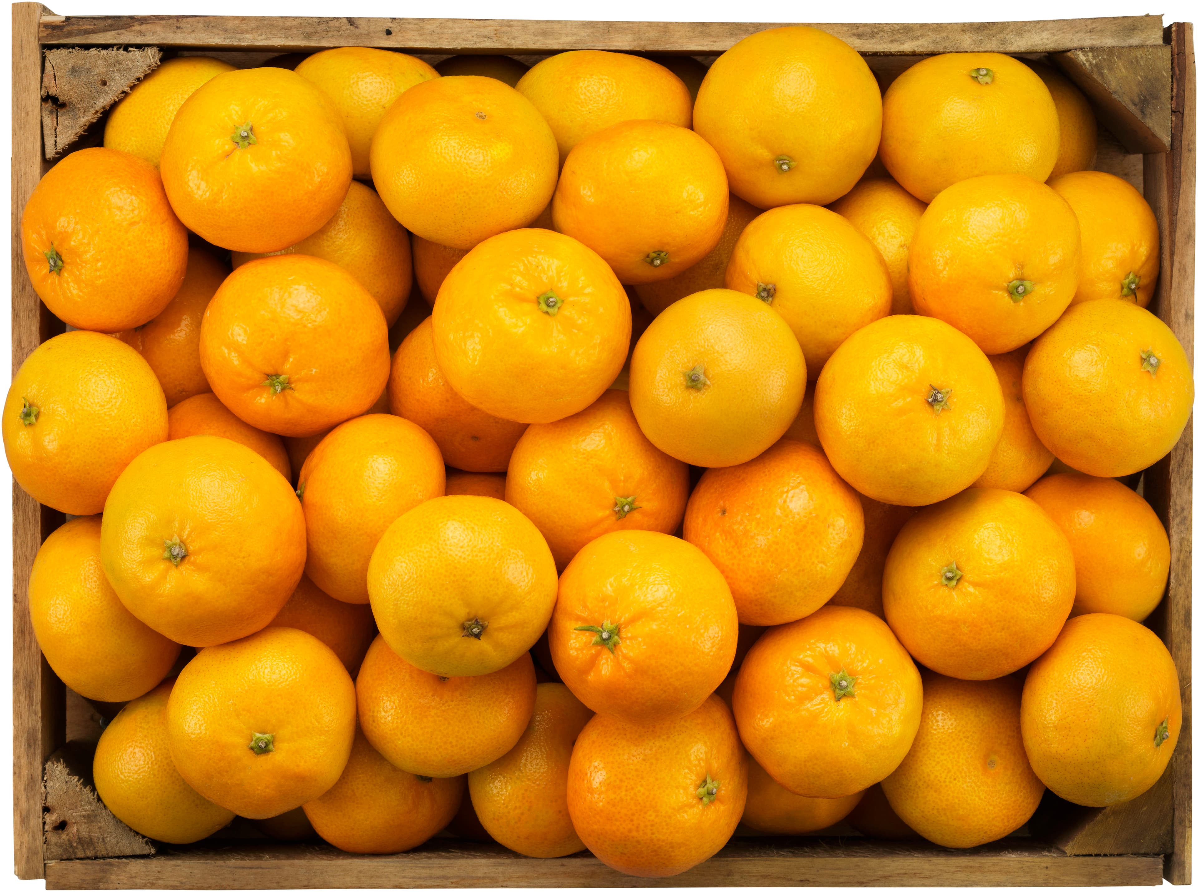 Satsumas
