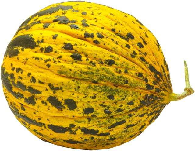 Tigermelon