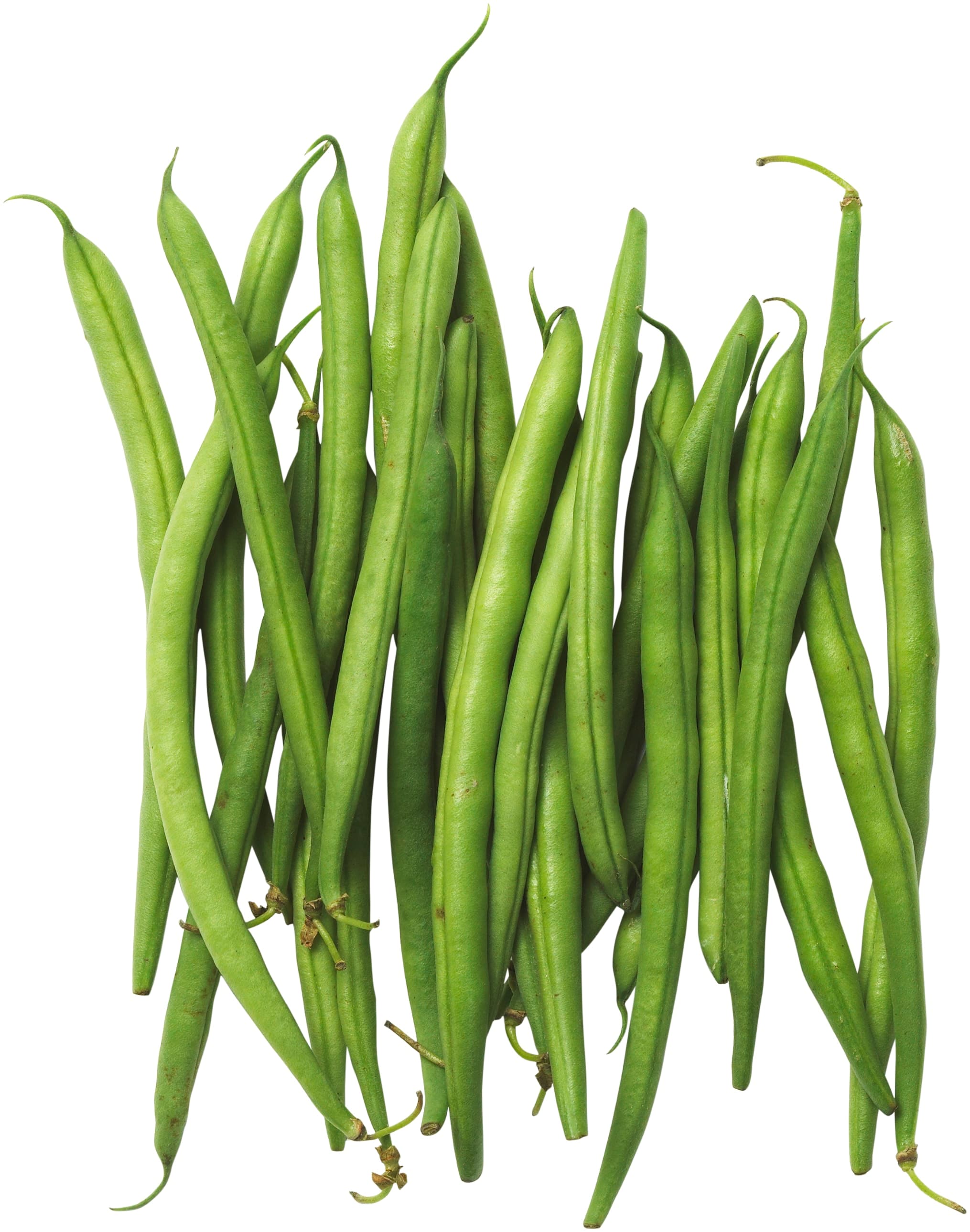 Bönor Haricotvert