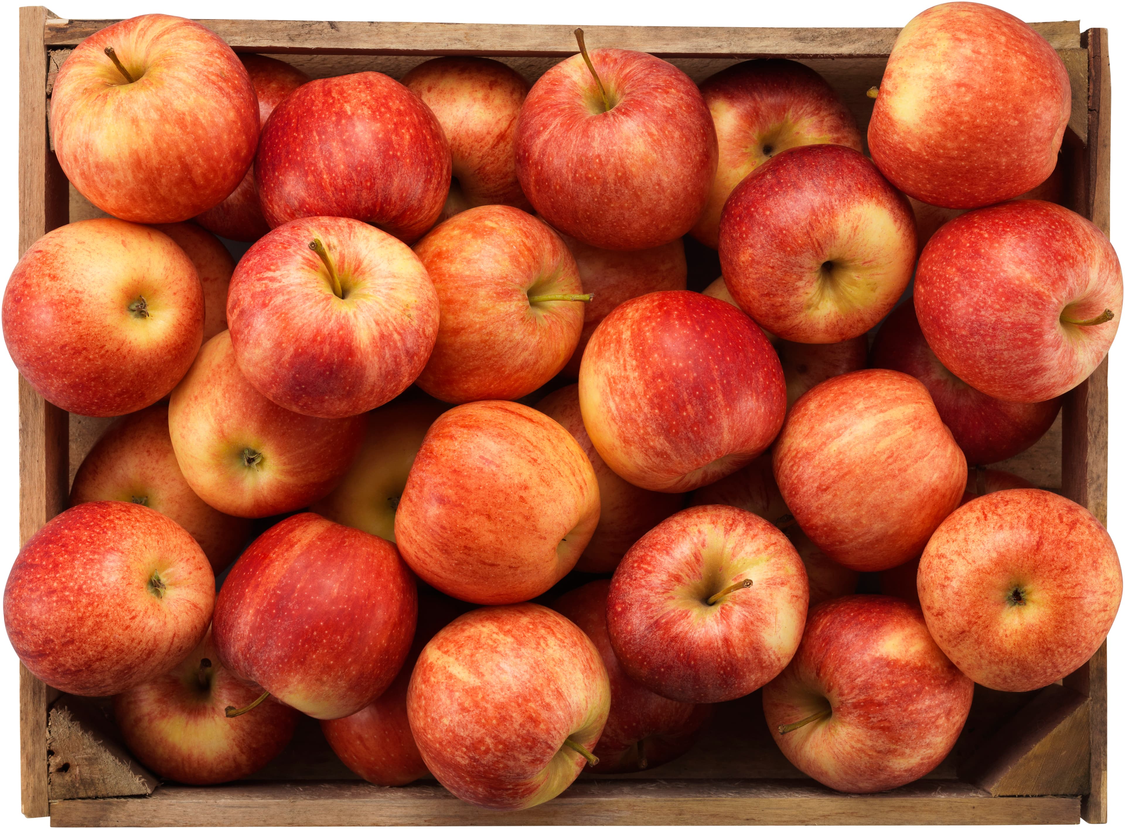 Äpple