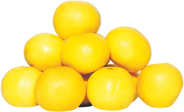 Grapefrukt Vit