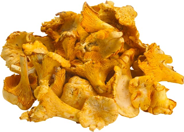 Kantareller
