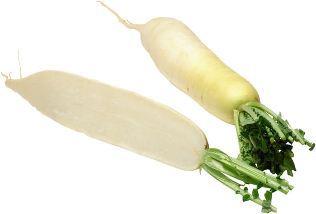 Rättika Vit