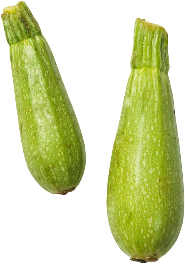 Zucchini Vit