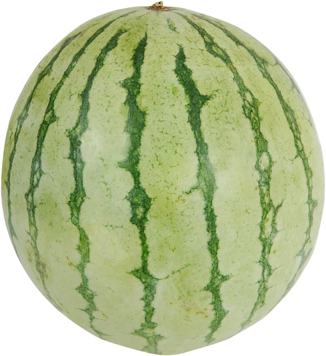 Vattenmelon
