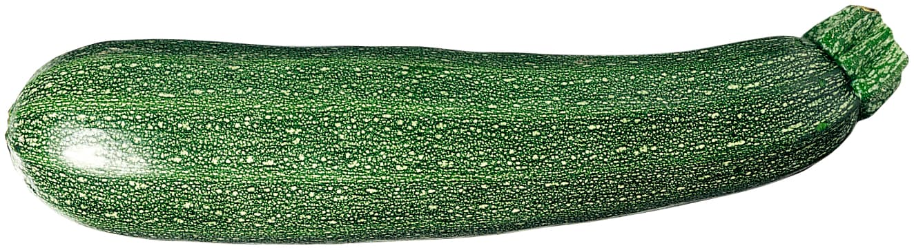 Zucchini Grön
