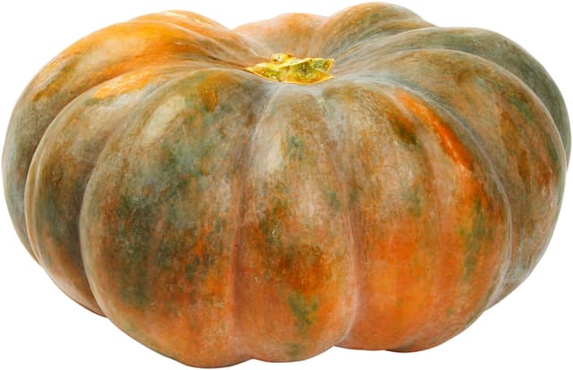 Pumpa