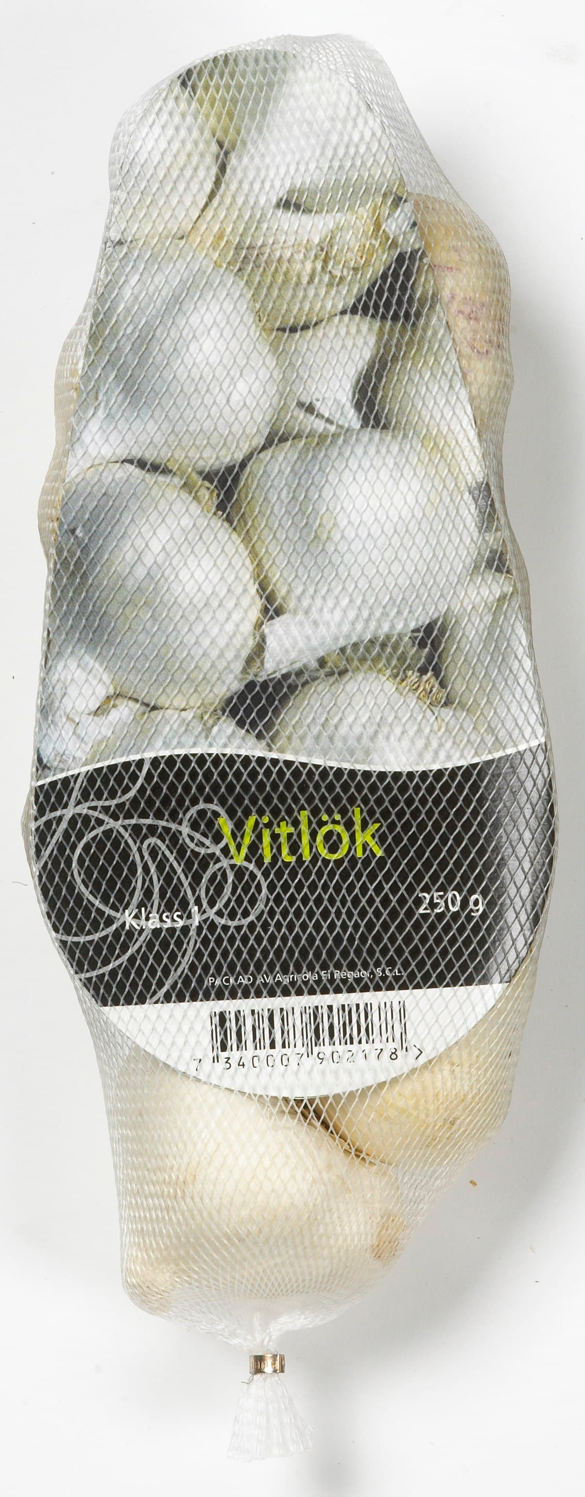 Vitlök